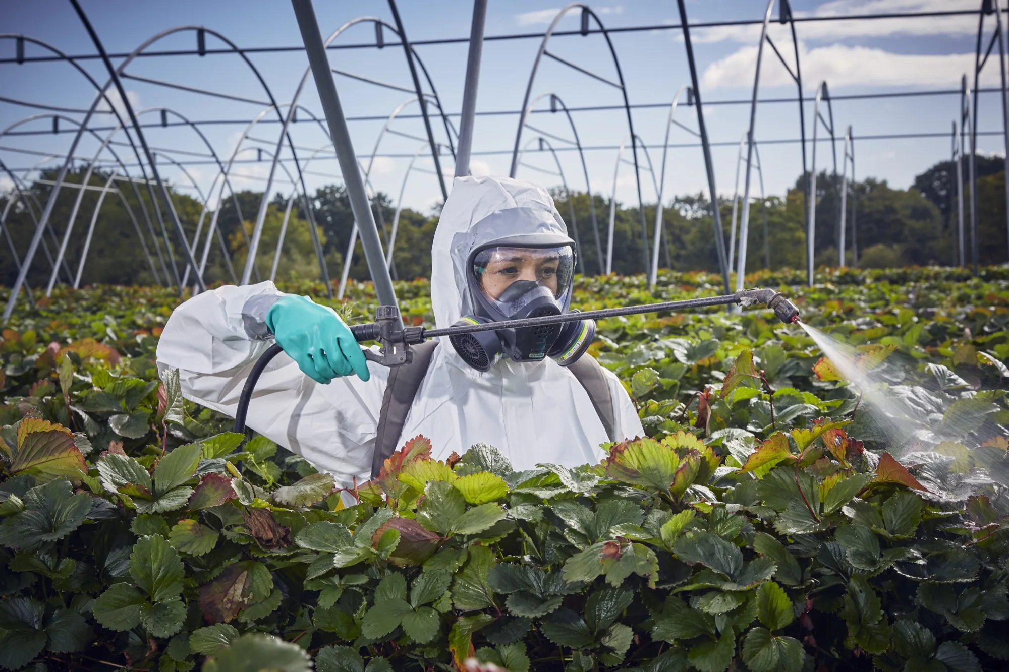 ANSELL-AGRICULTURAL-PROTECTION-100